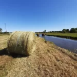 foin avec la briere