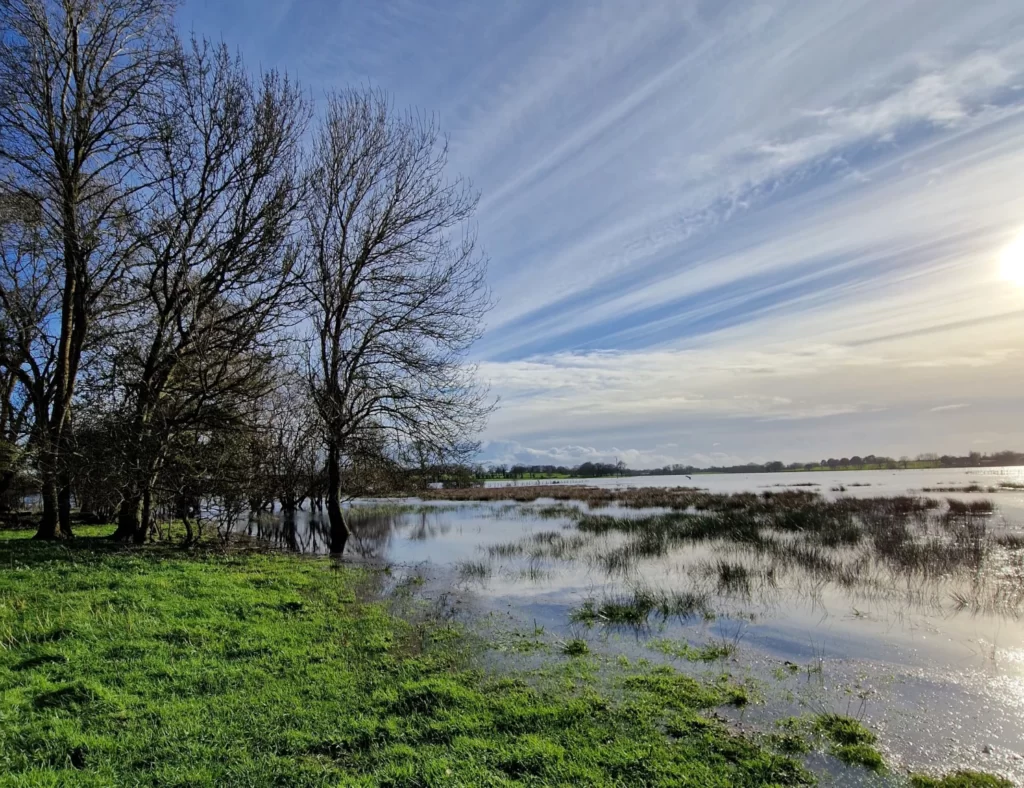 paysage briere